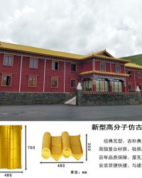  摩纳哥青训小将首秀破门惊艳全场  
